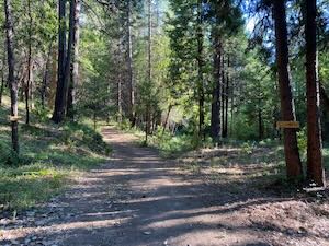 Parking for Tiny Houe in Nevada City, CA Community - Image 2