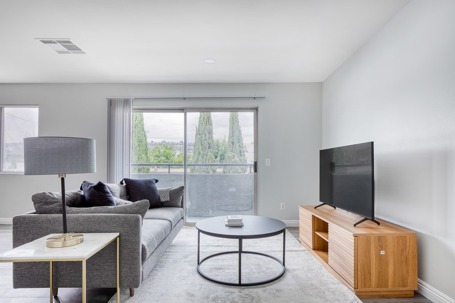 VERY SPACIOUS 1 BEDROOM APARTMENT IN DOWNTOWN DAVIS