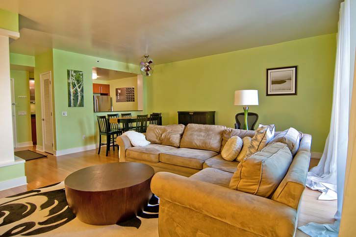 Modern 1 bedroom apartment in north berkeley
